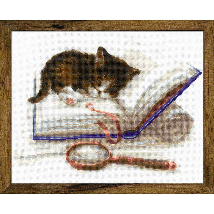 Kitten on the Book R1725 Counted Cross Stitch Kit