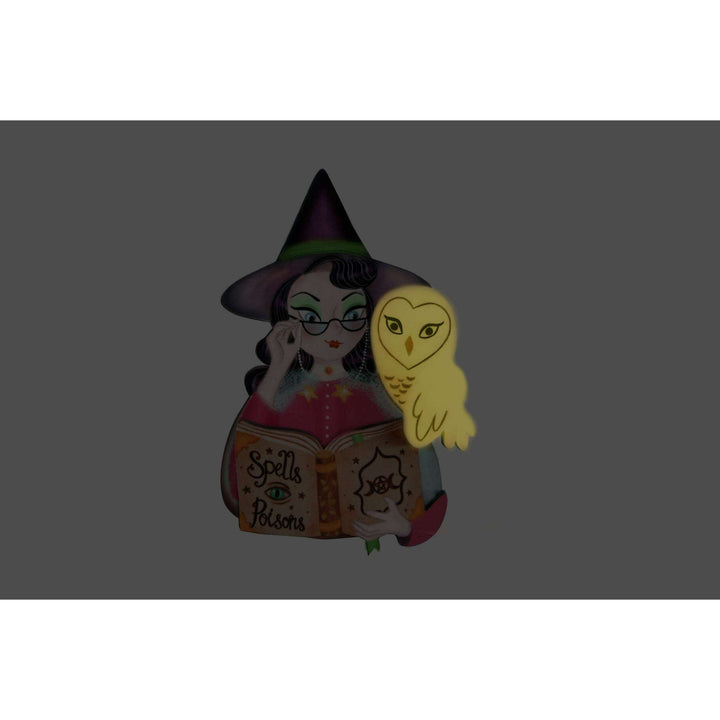 Witch with Owl Halloween Brooch by Laliblue