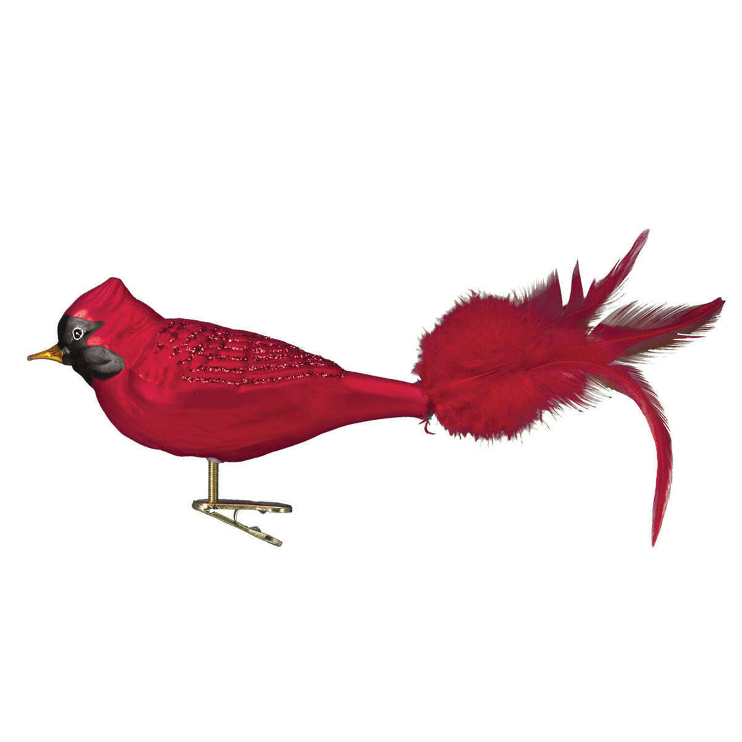 Old World Christmas Large Red Cardinal Blown Glass Ornament