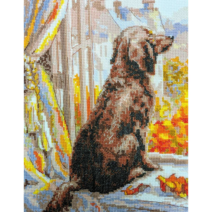 Let's go for a walk! R2256 Counted Cross Stitch Kit