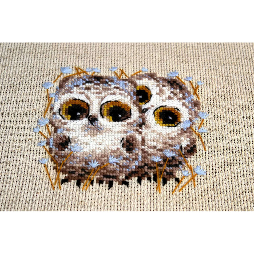 Little Owls R1755 Counted Cross Stitch Kit