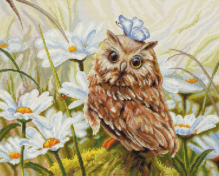 Lucky Owl B7011L Counted Cross-Stitch Kit