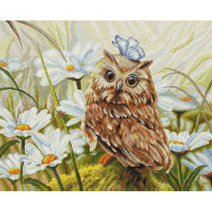 Lucky Owl B7011L Counted Cross-Stitch Kit
