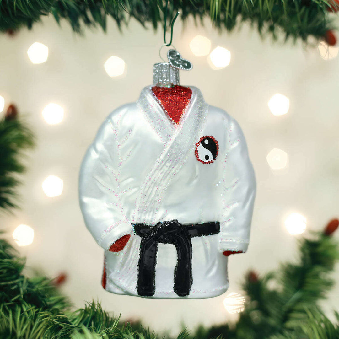 Old World Christmas Martial Arts Robe Blown Glass Ornament