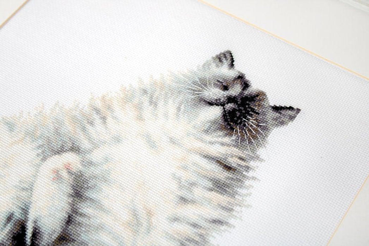 Micky B2269L Counted Cross-Stitch Kit