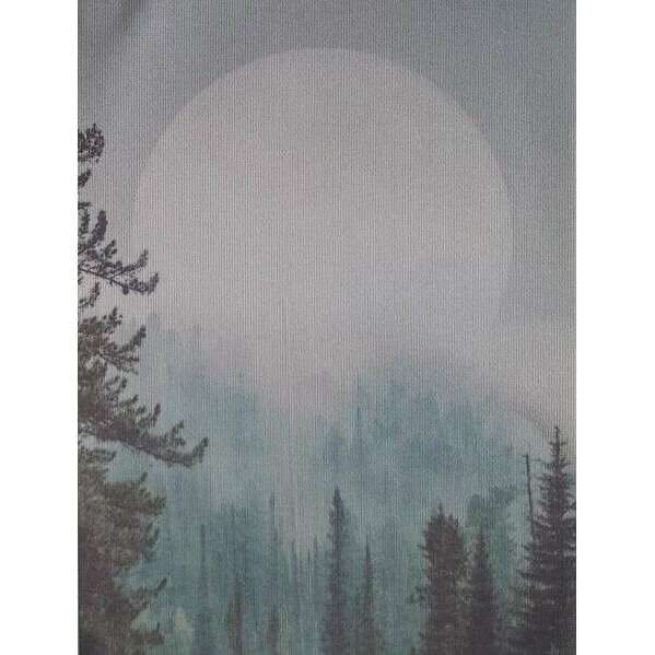 Misty Moonrise Designer Printed AIDA Fabric. Canvas for embroidery with an applied background  KF-1105A