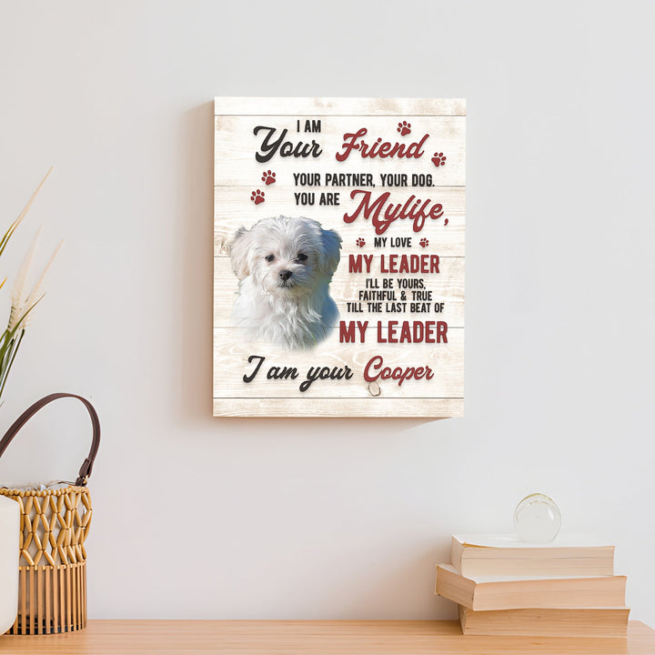 Pet Memorial Sign I Am Your Friend