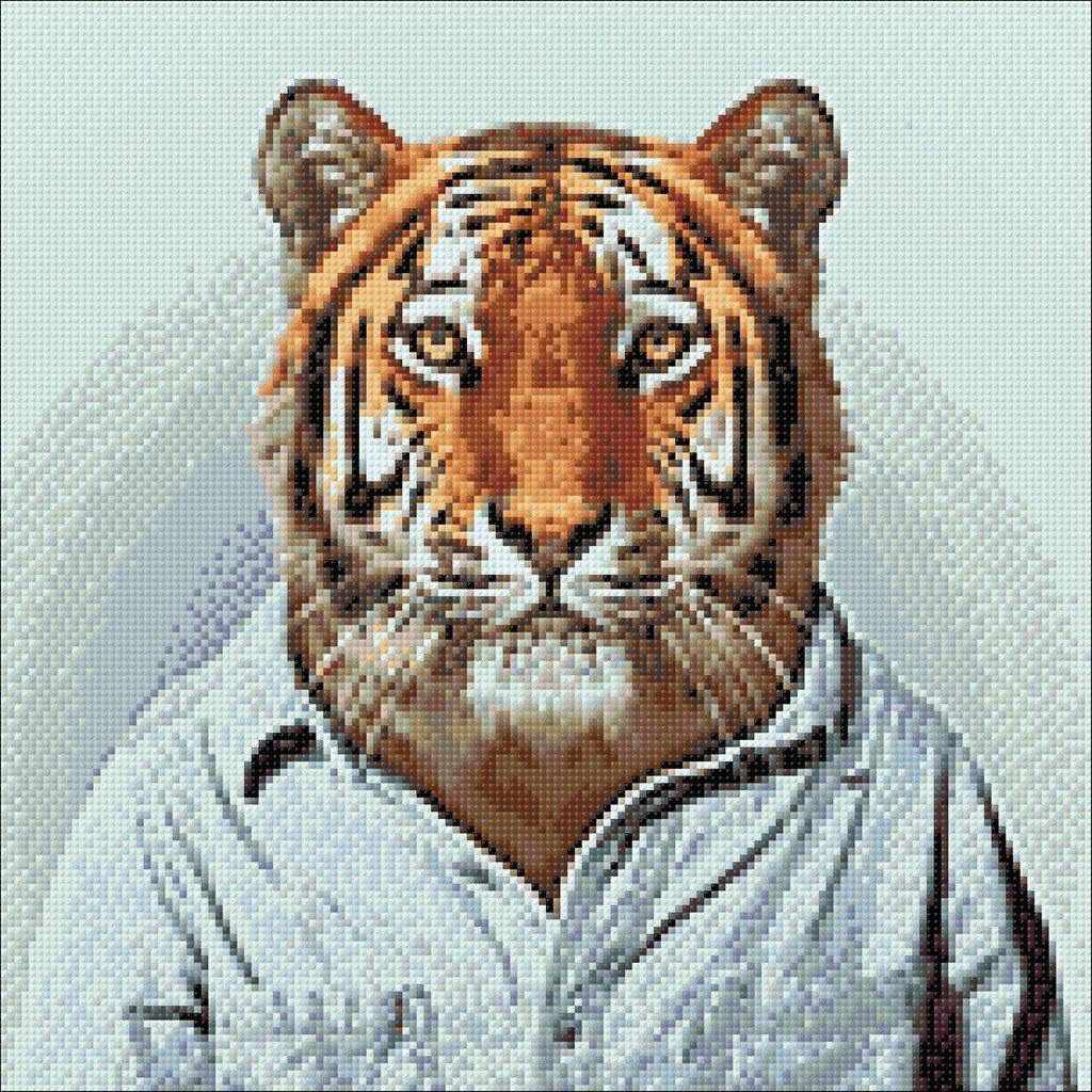 Mr Tiger WD258 14.9 x 14.9 inches Wizardi Diamond Painting Kit
