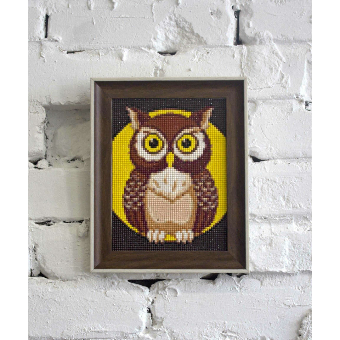Night Owl WD308 5.9 x 7.9 inches Wizardi Diamond Painting Kit