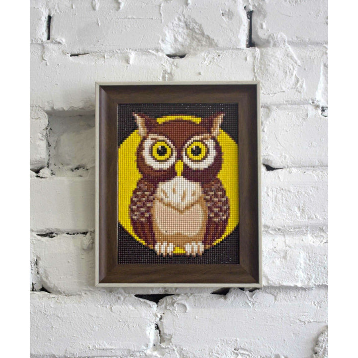 Night Owl WD308 5.9 x 7.9 inches Wizardi Diamond Painting Kit