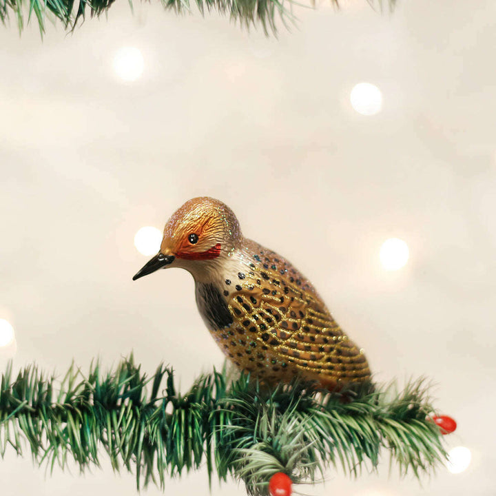 Old World Christmas Northern Flicker Blown Glass Ornament