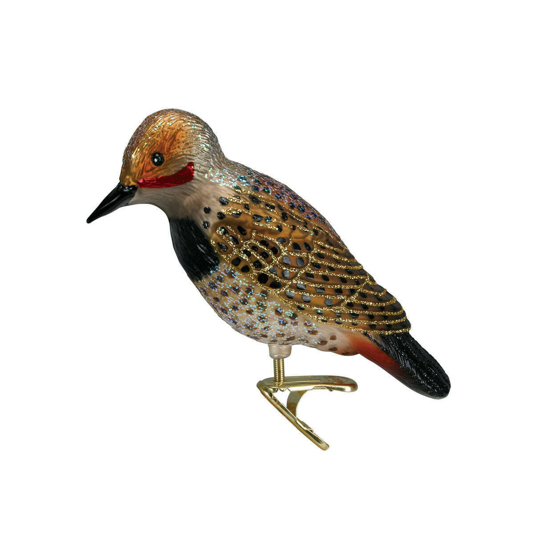 Old World Christmas Northern Flicker Blown Glass Ornament