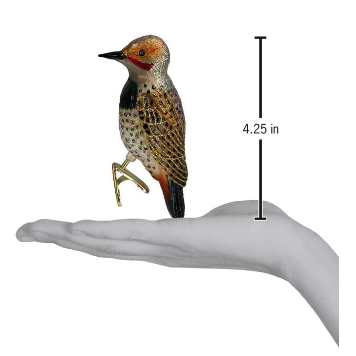 Old World Christmas Northern Flicker Blown Glass Ornament