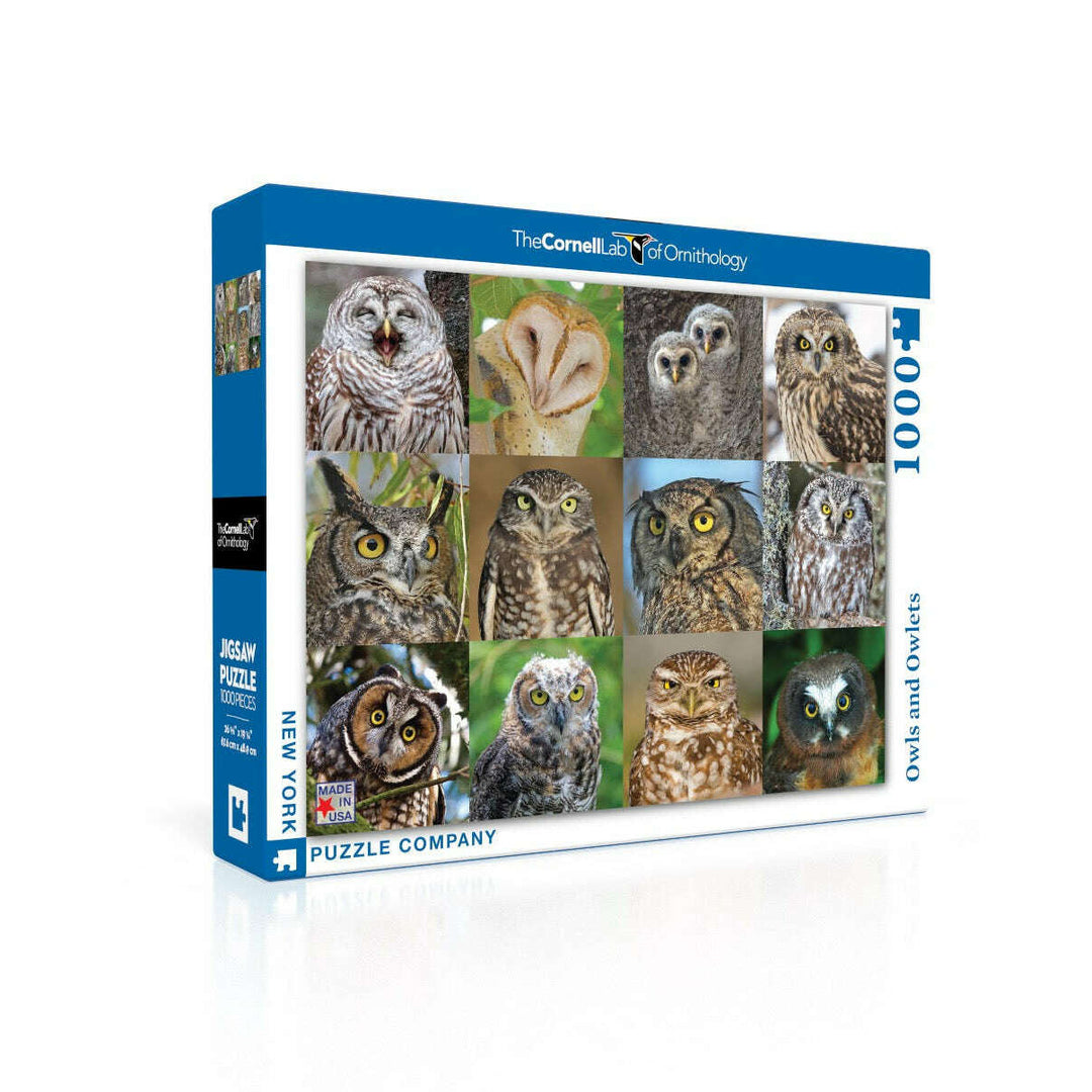 Owls and Owlets Jigsaw Puzzle