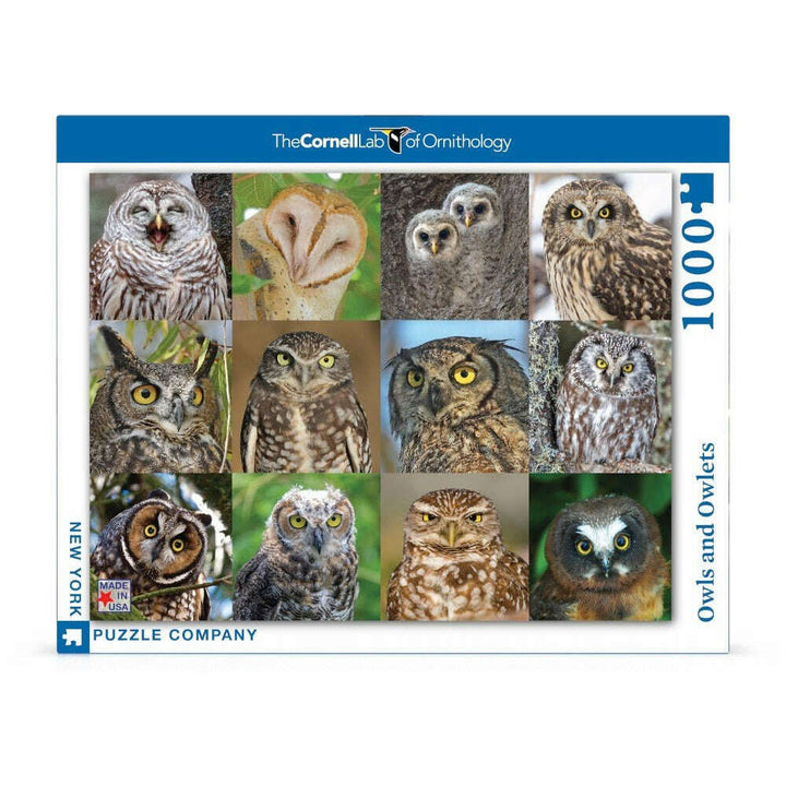 Owls and Owlets Jigsaw Puzzle