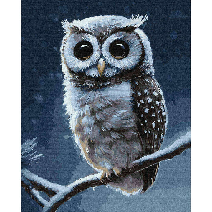 Painting by Numbers kit Forest owl KHO4457