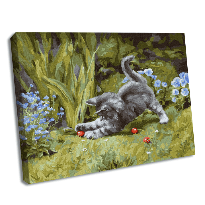 Painting by Numbers kit Playful kitten KHO4251