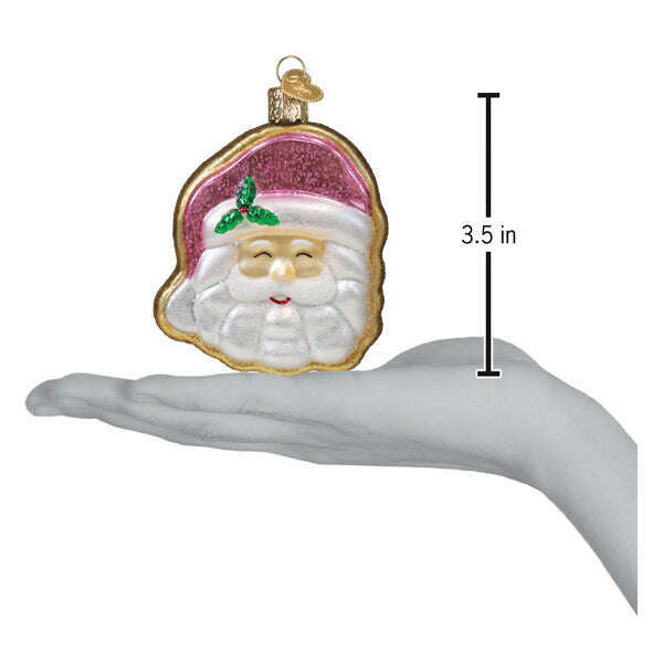 Old World Christmas Papa Noel Sugar Cookie Blown Glass Ornament