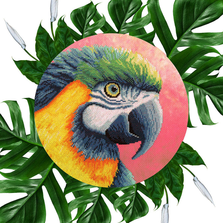 Paradise XRF1 Counted Cross Stitch Kit