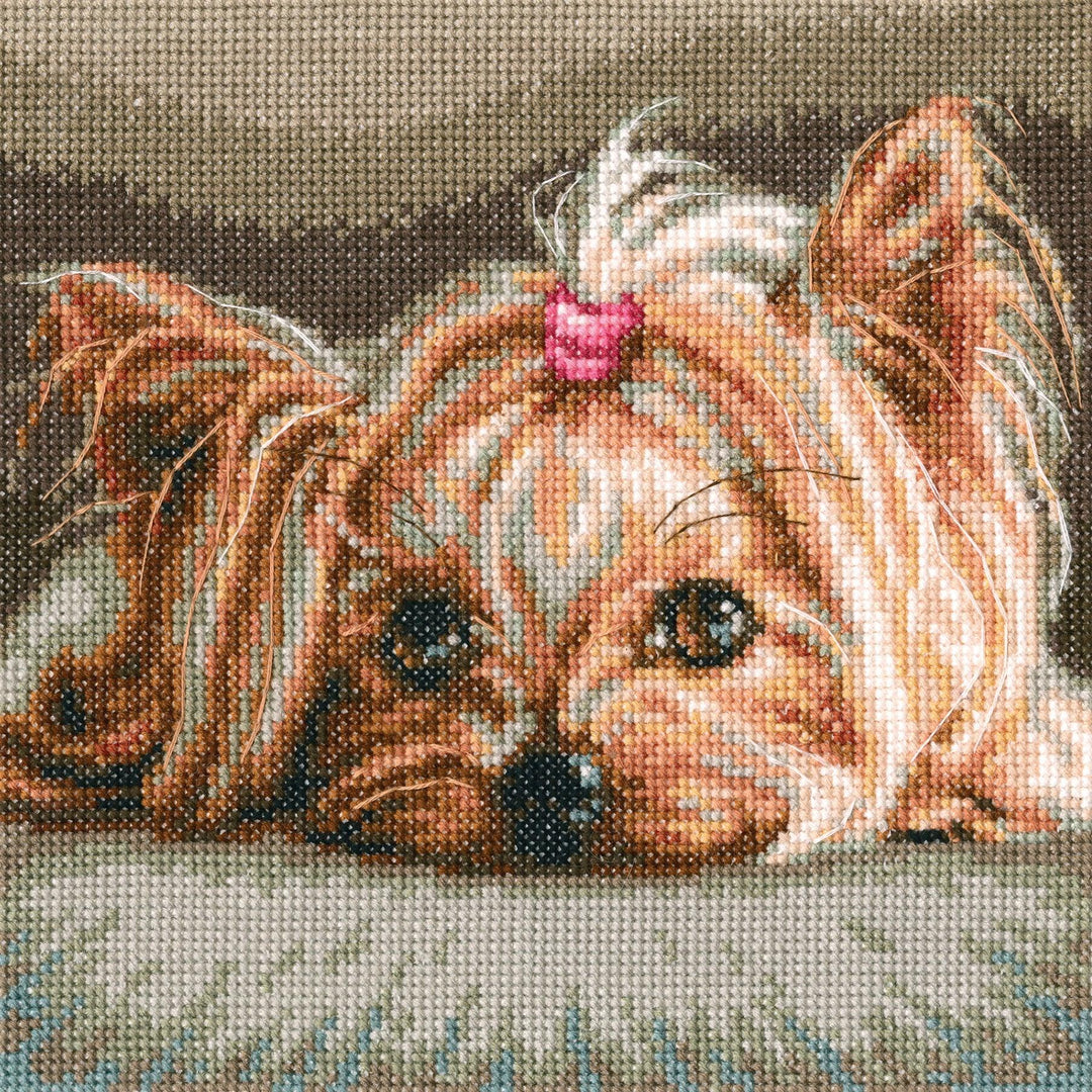 Pet M709 Counted Cross Stitch Kit