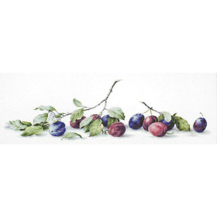 Plums B2257L Counted Cross-Stitch Kit
