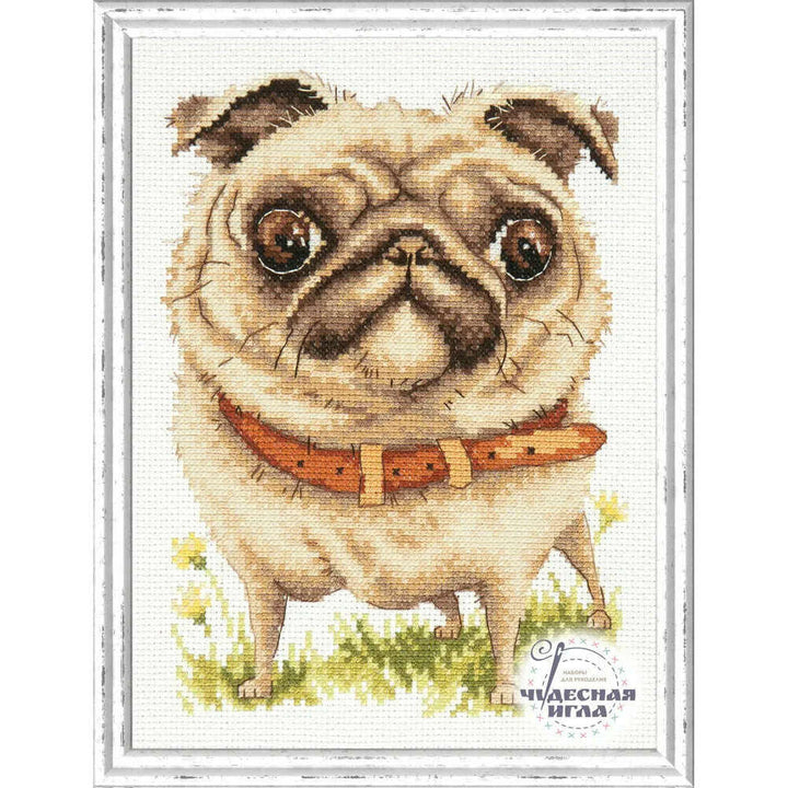 Pug-dog 16-17 Counted Cross-Stitch Kit