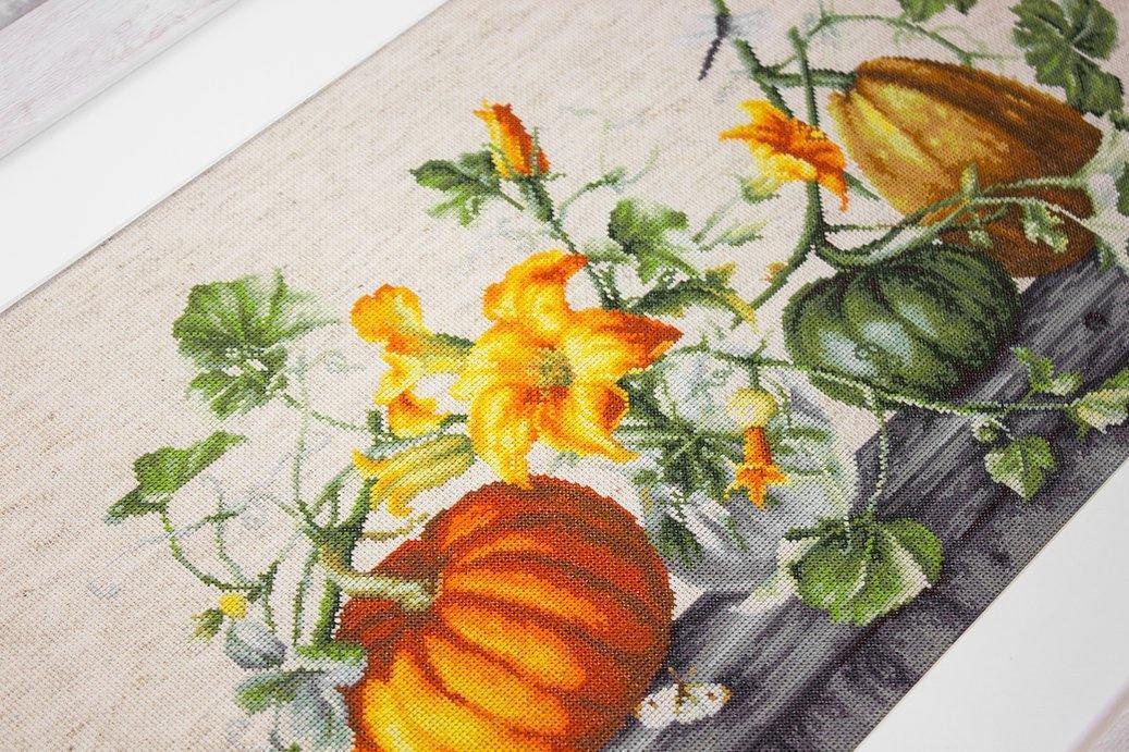 Pumpkin B2303L Counted Cross-Stitch Kit