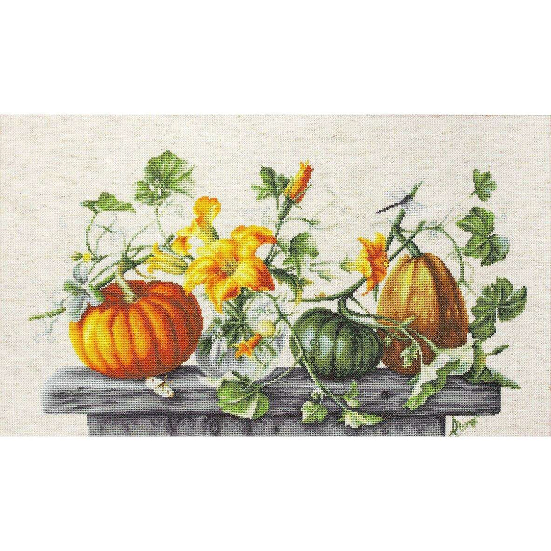 Pumpkin B2303L Counted Cross-Stitch Kit