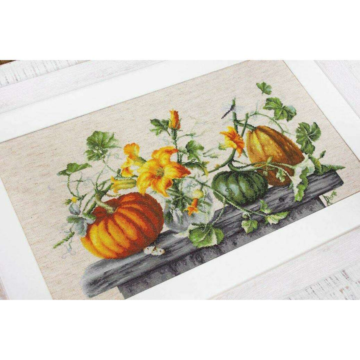 Pumpkin B2303L Counted Cross-Stitch Kit