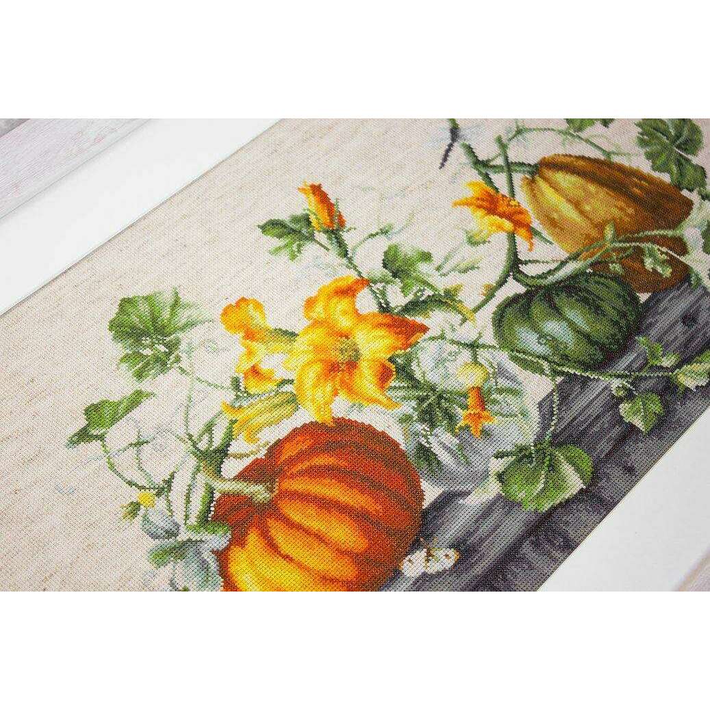 Pumpkin B2303L Counted Cross-Stitch Kit