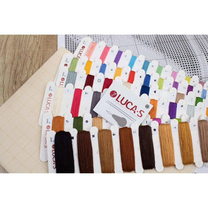 Puppy Picasso B2415L Counted Cross-Stitch Kit