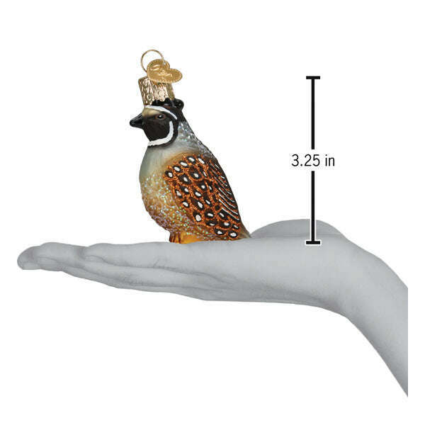 Old World Christmas Quail Blown Glass Ornament