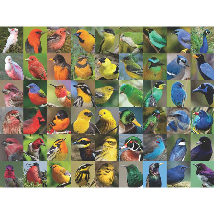 Rainbow of Birds Jigsaw Puzzle
