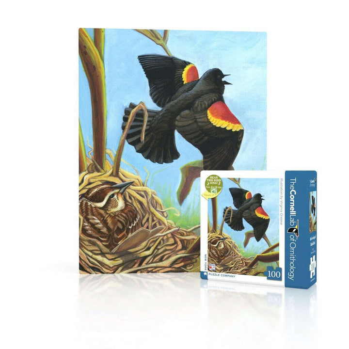 Red-winged Blackbird Mini