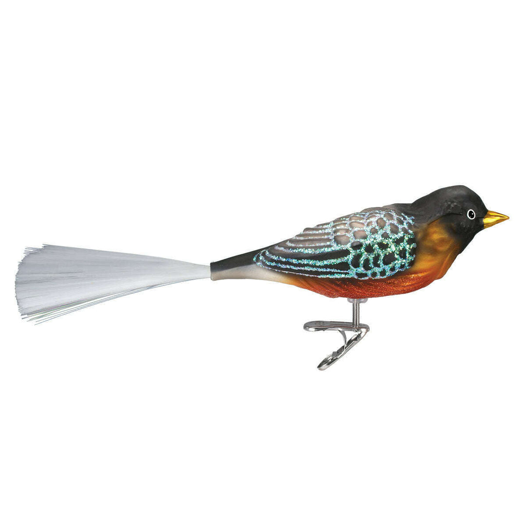 Old World Christmas Robin Blown Glass Ornament