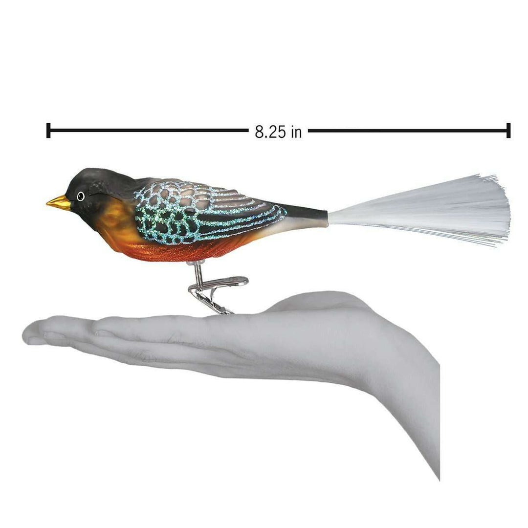 Old World Christmas Robin Blown Glass Ornament