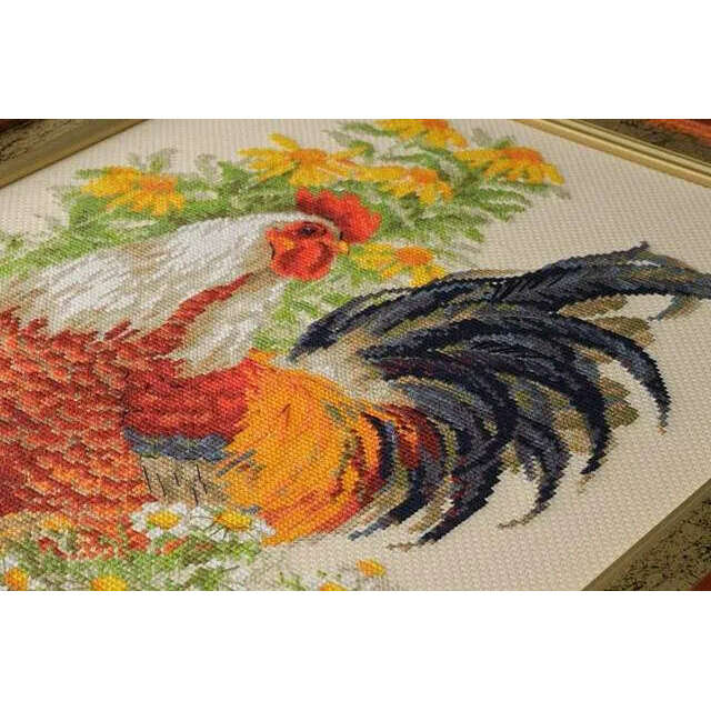 Rooster R1479 Counted Cross Stitch Kit