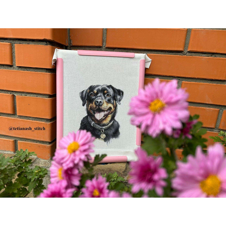 Rottweiler BC229L Counted Cross-Stitch Kit