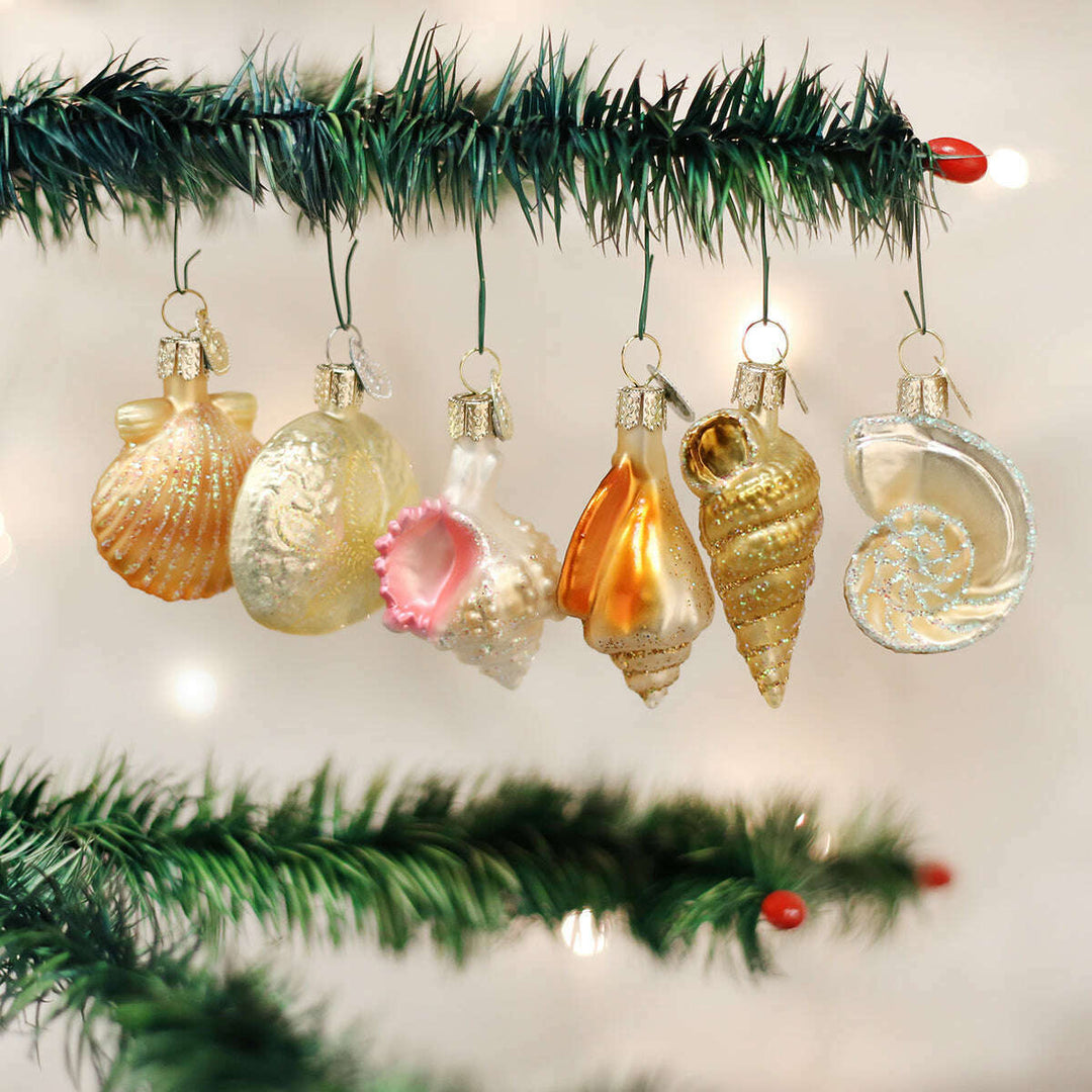Old World Christmas Sea Shell Blown Glass Ornament Set