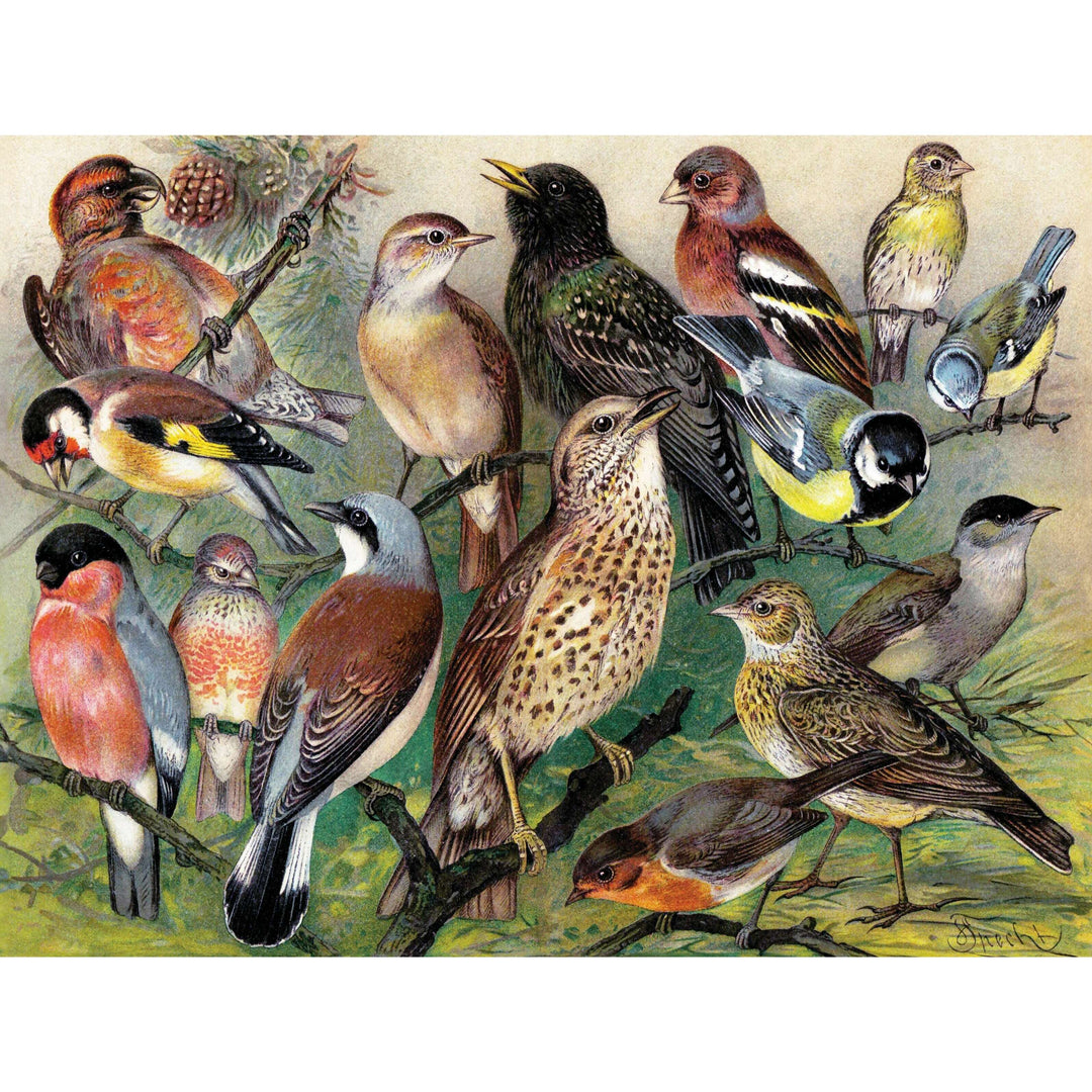 Songbirds Jigsaw Puzzle