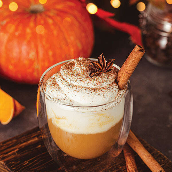 Old World Christmas Spiced Pumpkin Creme Candle