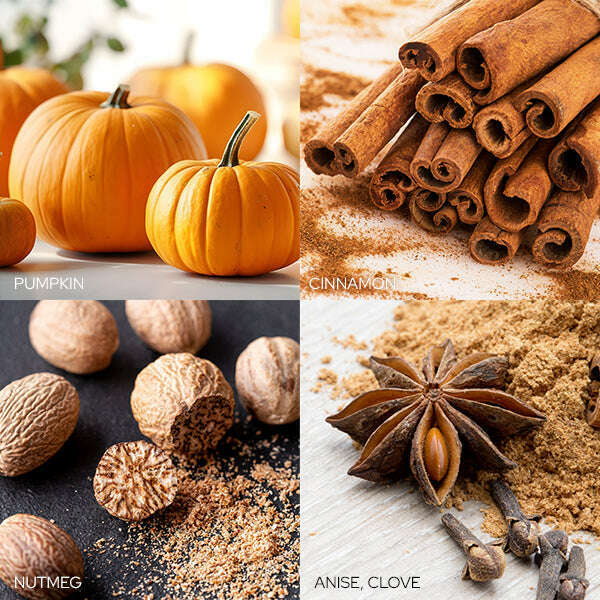 Old World Christmas Spiced Pumpkin Creme Candle