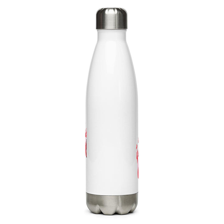 Stainless Steel Water Bottle - Quirks!