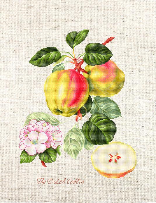 The Dutch Codlin BA22440L Counted Cross-Stitch Kit