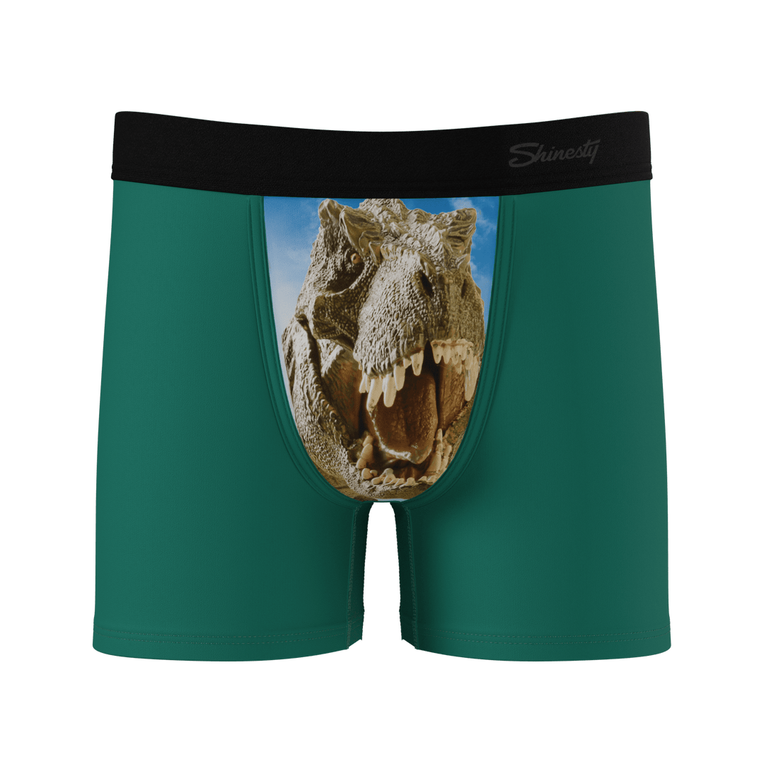The Mad Lizard | Dinosaur Boy's Boxer Briefs