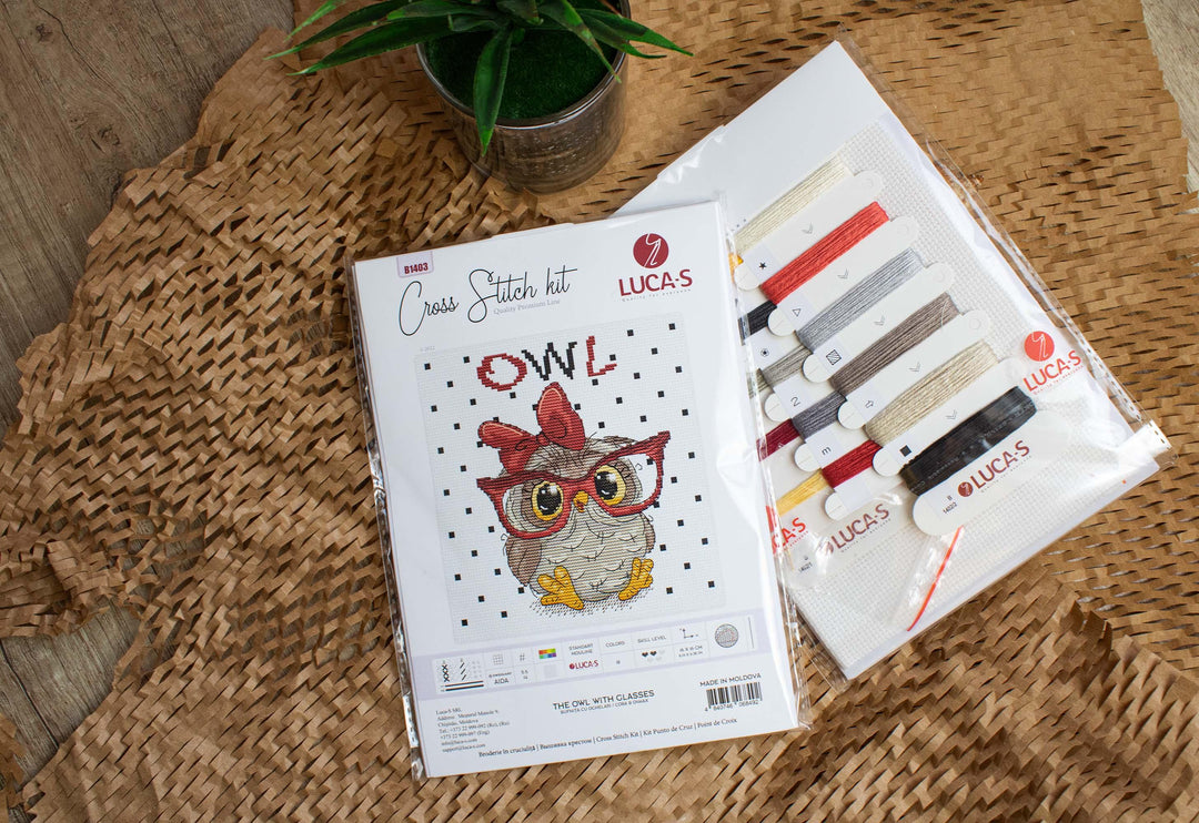 The Owl With Glasses B1403L Counted Cross-Stitch Kit