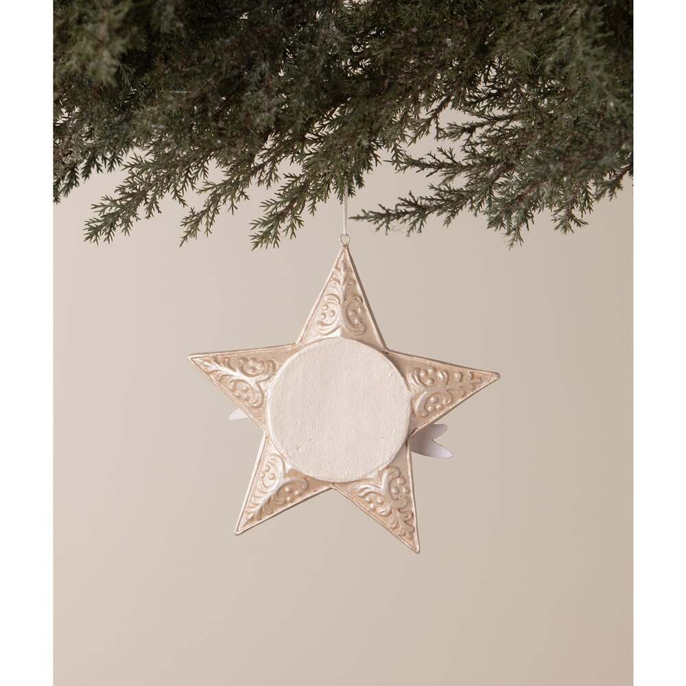 Tis the Season Star Ornament by Bethany Lowe Designs 1