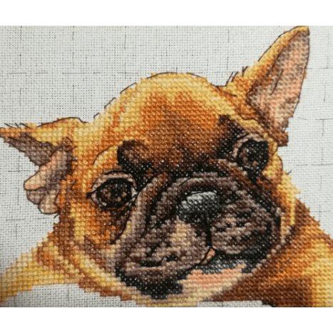 Warmth in palms M821 Counted Cross Stitch Kit