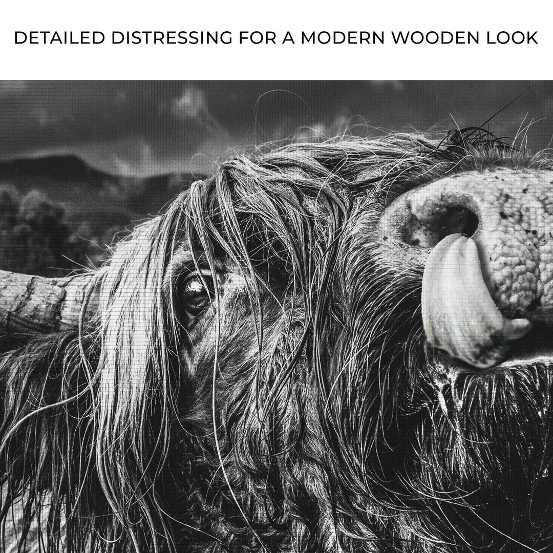 West Highland Cow Monochrome Canvas Wall Art