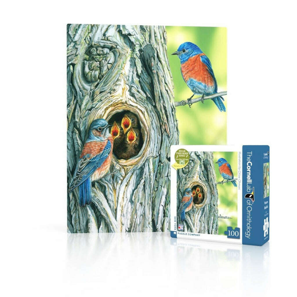 Western Bluebird Mini Jigsaw Puzzle